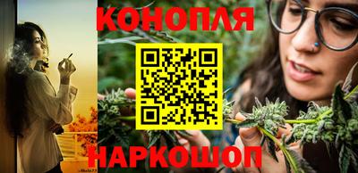 МДПВ Заводоуковск