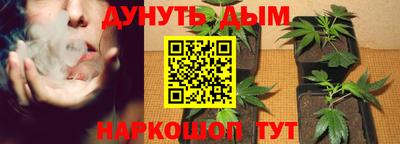 МДПВ Заводоуковск