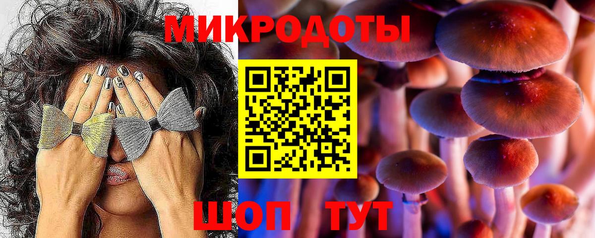 как найти наркотики  Псилоцибиновые грибы мухоморы  Вход с VPN  Медногорск 